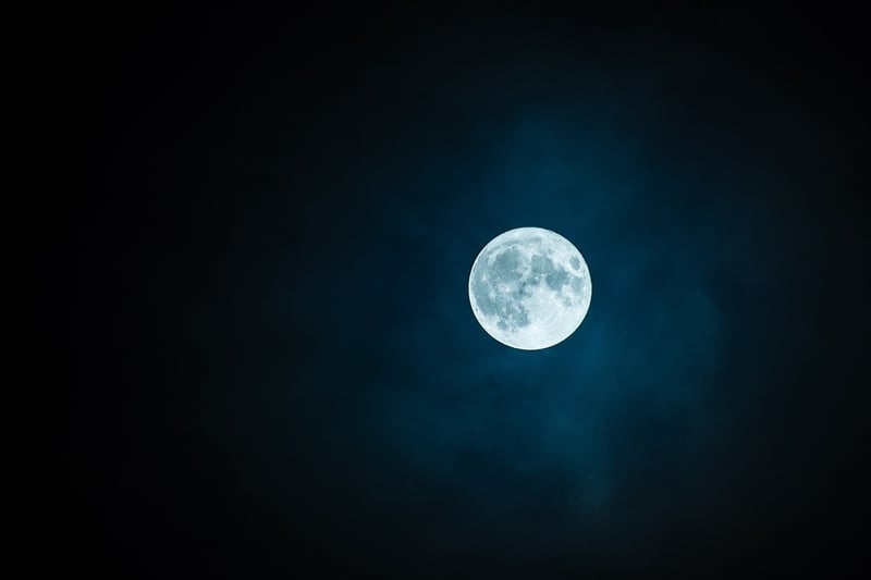 Moonlit Reception